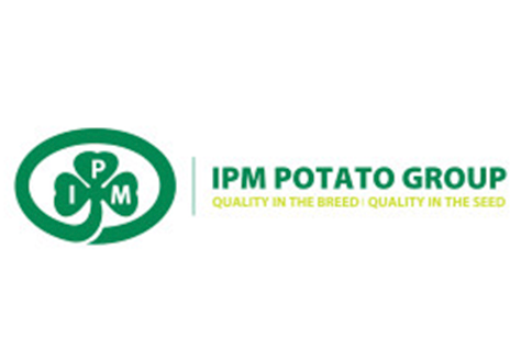 IMP Potato Group