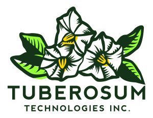 Tuberosum