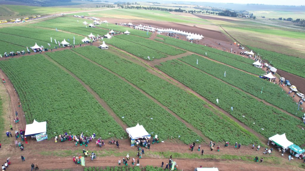 Kenya 2026