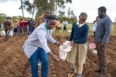 4K members planting potatoes as part of the Growing the Future challenge
